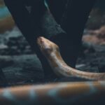 unsplash