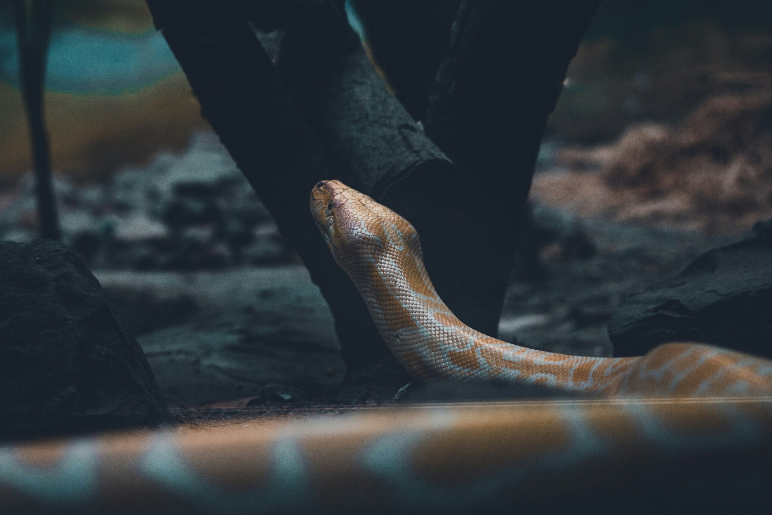 unsplash