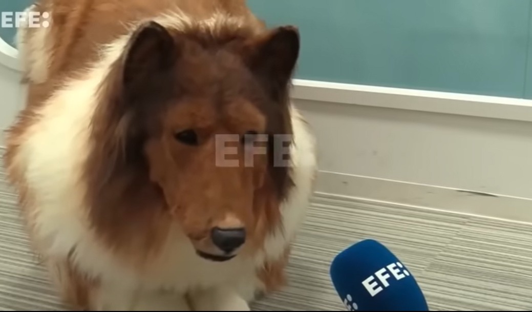 Captura de Pnatalla, Video de EFE, Youtube