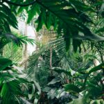 unsplash
