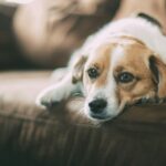 unsplash