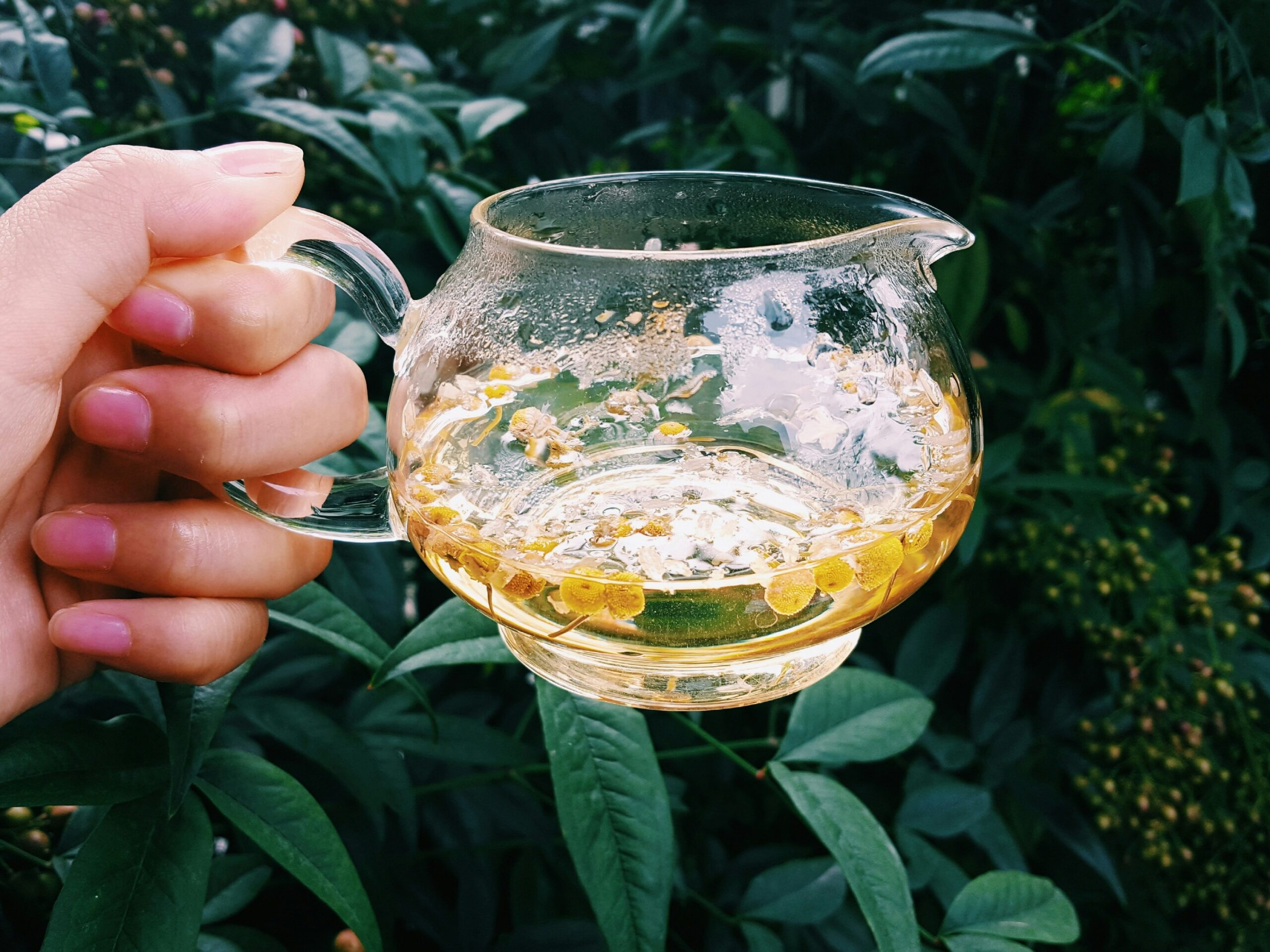 té de manzanilla unsplash-