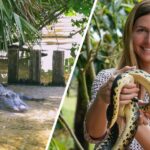 Reptiles invaden barriadas de Herrera